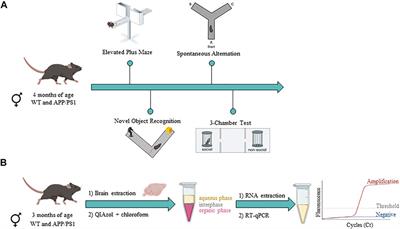 Gene Expression Analysis of the Endocannabinoid System in Presymptomatic APP/PS1 Mice